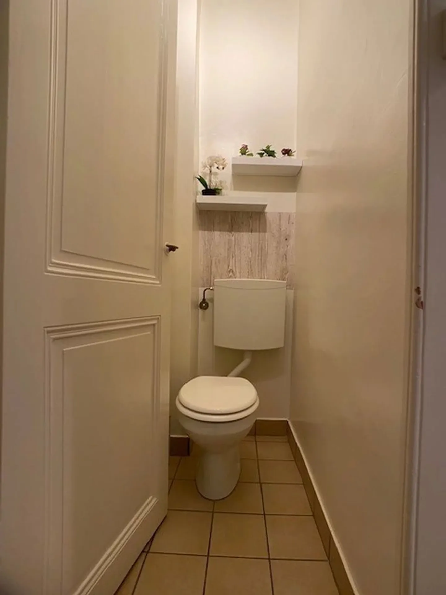 Charming Apartment in Pâquis - Photo 5 of 6