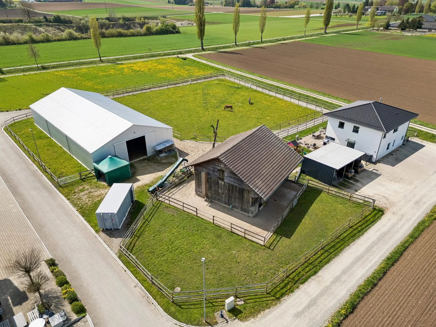 YOUR OWN HORSE PARADISE IN SUNNY KLETTGAU - Photo 1 of 10