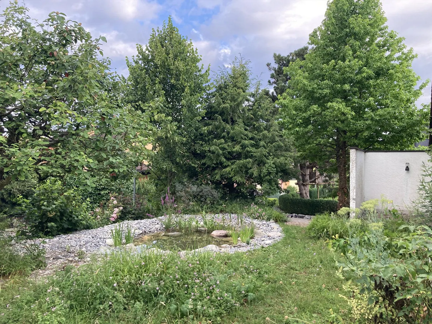 Casa unifamiliare indipendente di 6 stanze con giardino naturale - Foto 13 di 13