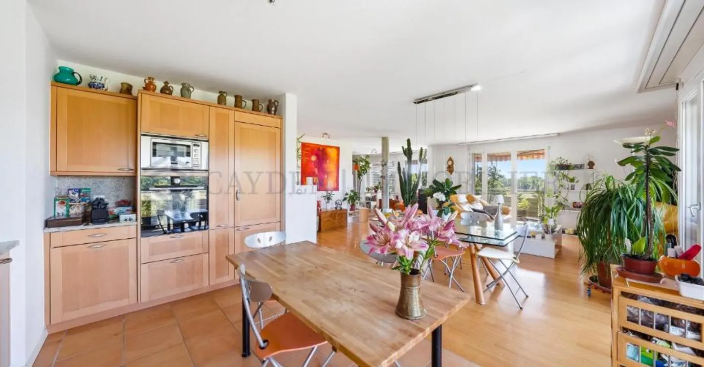 Magnificent 5.5-room apartment with panoramic view of the Alps - Photo 5 of 12