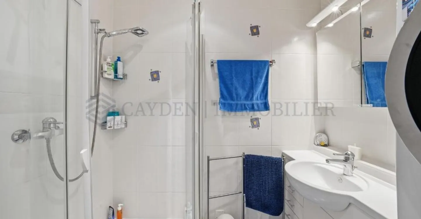 Magnificent 5.5-room apartment with panoramic view of the Alps - Photo 12 of 12