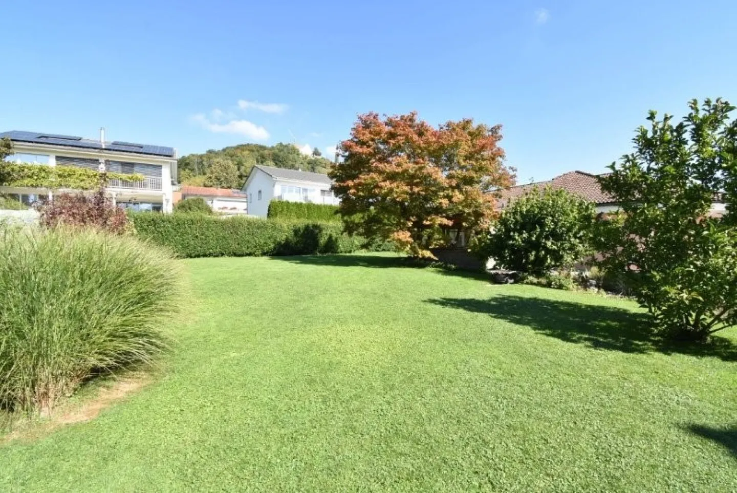 Open Architecture with Large Plot - Photo 2 of 10