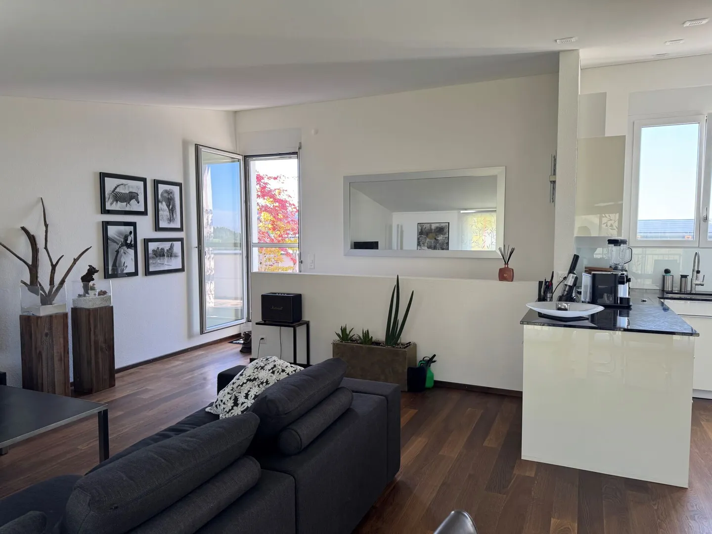 appartamento duplex di lusso con 5 1/2 stanze - Foto 3 di 20