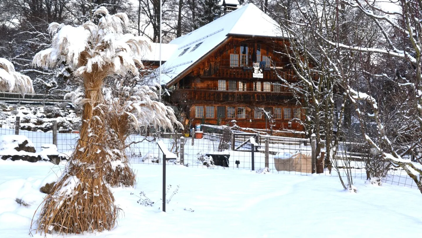 Charmante Dachwohnung im Berner Land - Foto 3 von 11