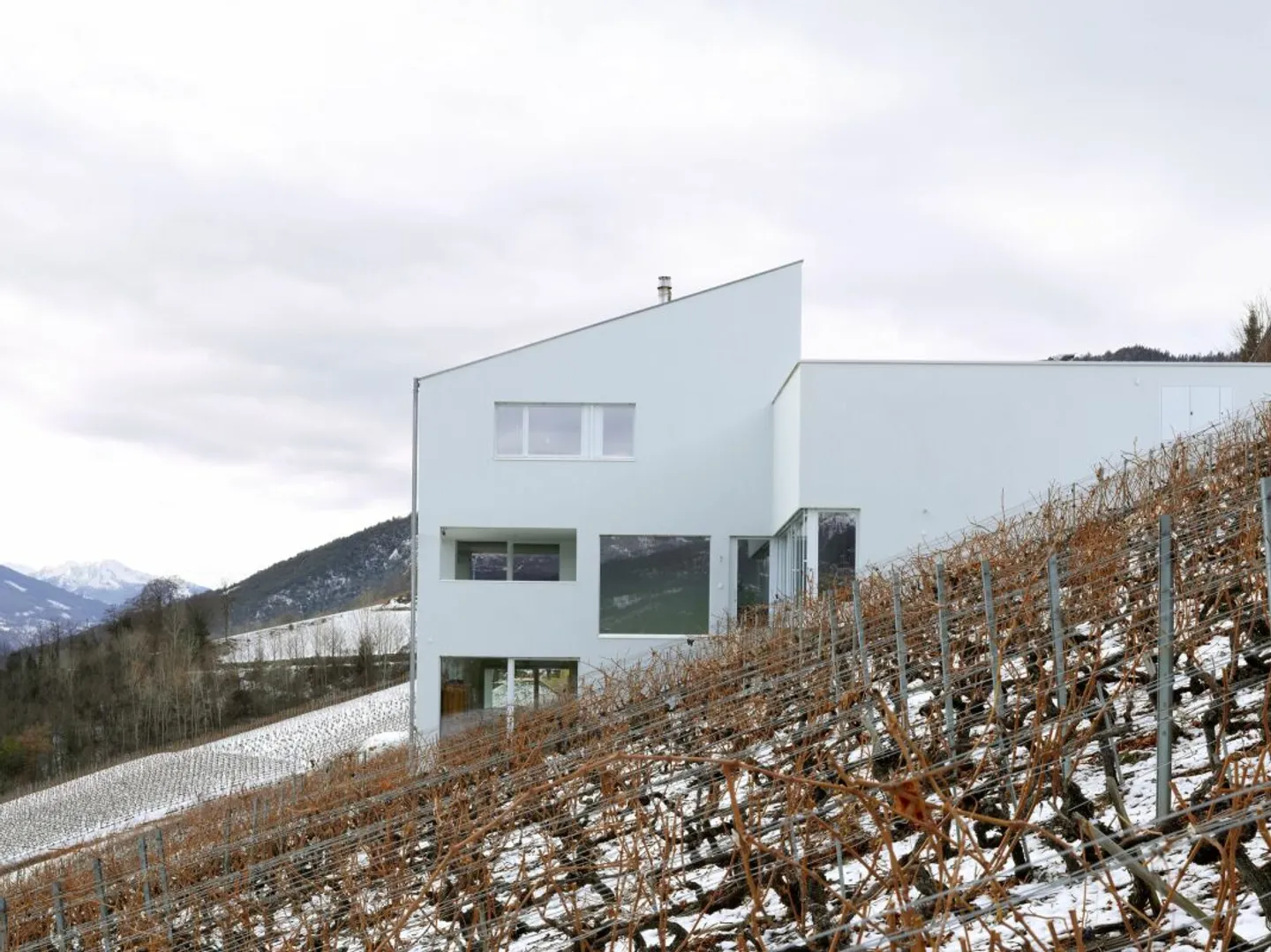 Villa d'Architetto tra le Vigne - Foto 12 di 12