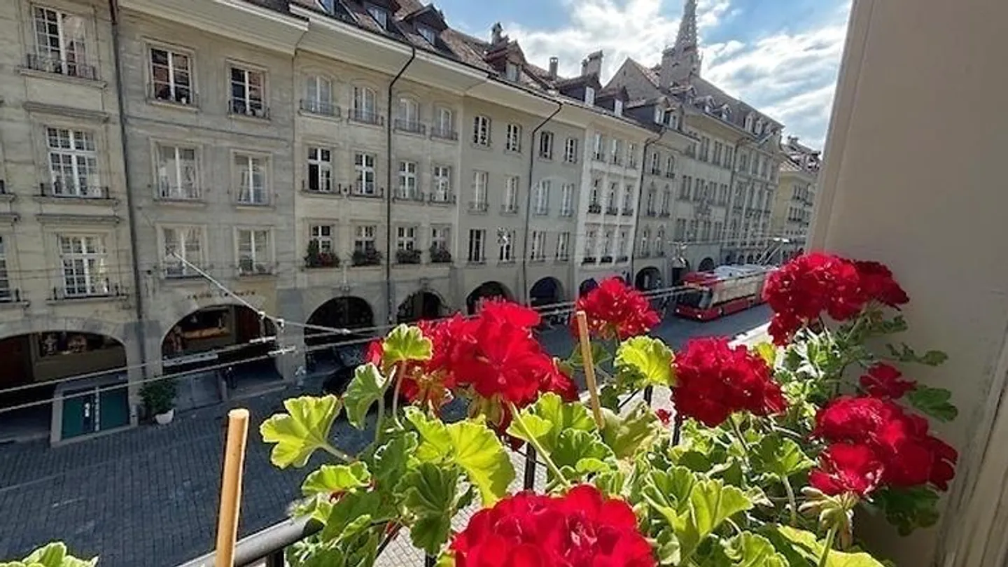 Charmante Wohnung in Bern - Foto 3 von 10