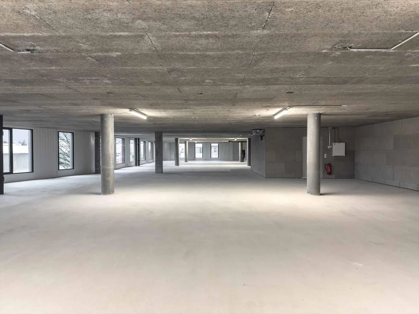 Werkstatt / Showroom / Vielseitige Fläche – 750 m² teilbar – Meyrin, Industriezone - Foto 3 von 9