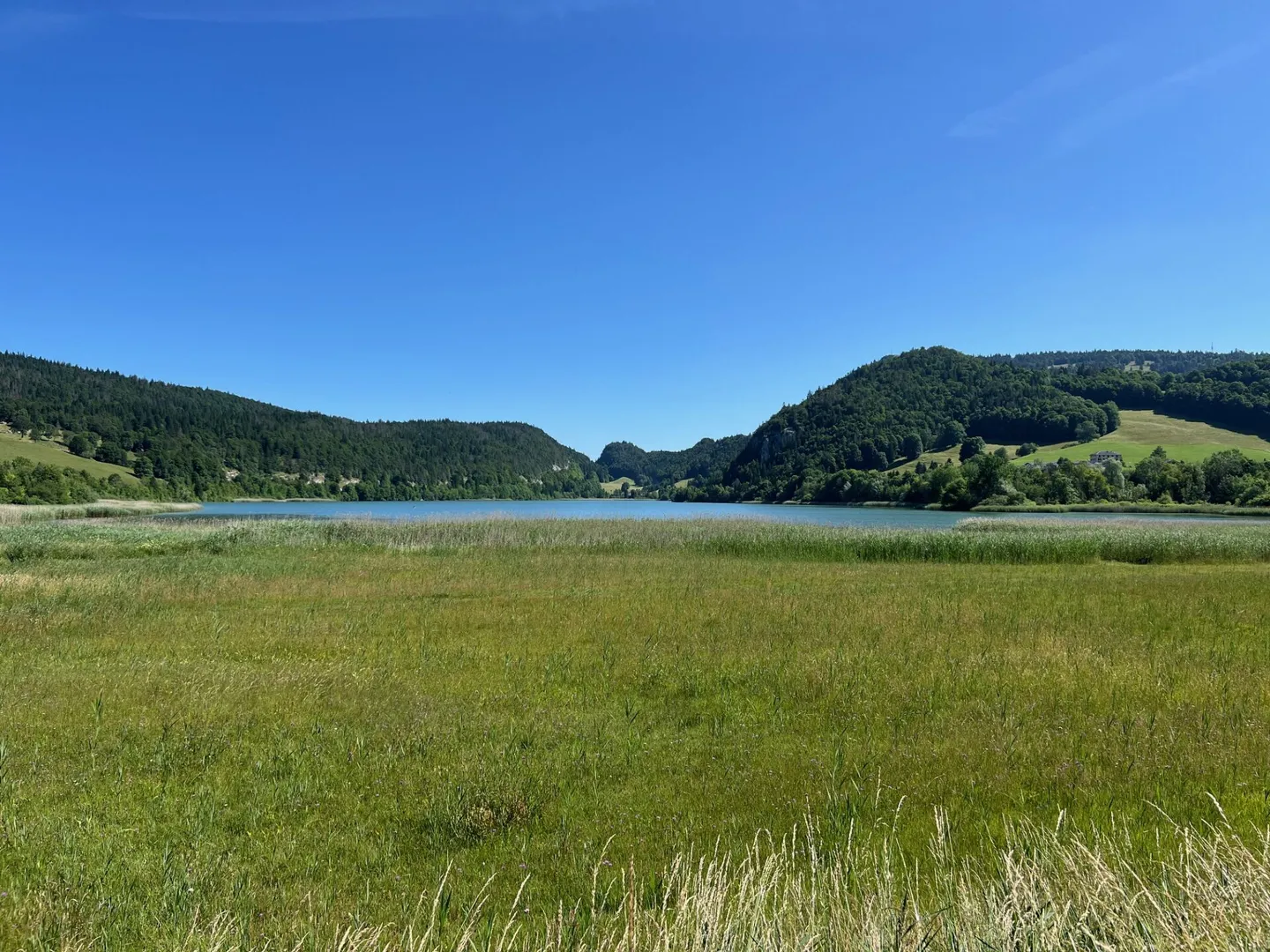 Joux Valley - Les Charbonnières, former farm to renovate approx. 230 m2 + separate apartment (2 rooms) - Photo 28 of 29