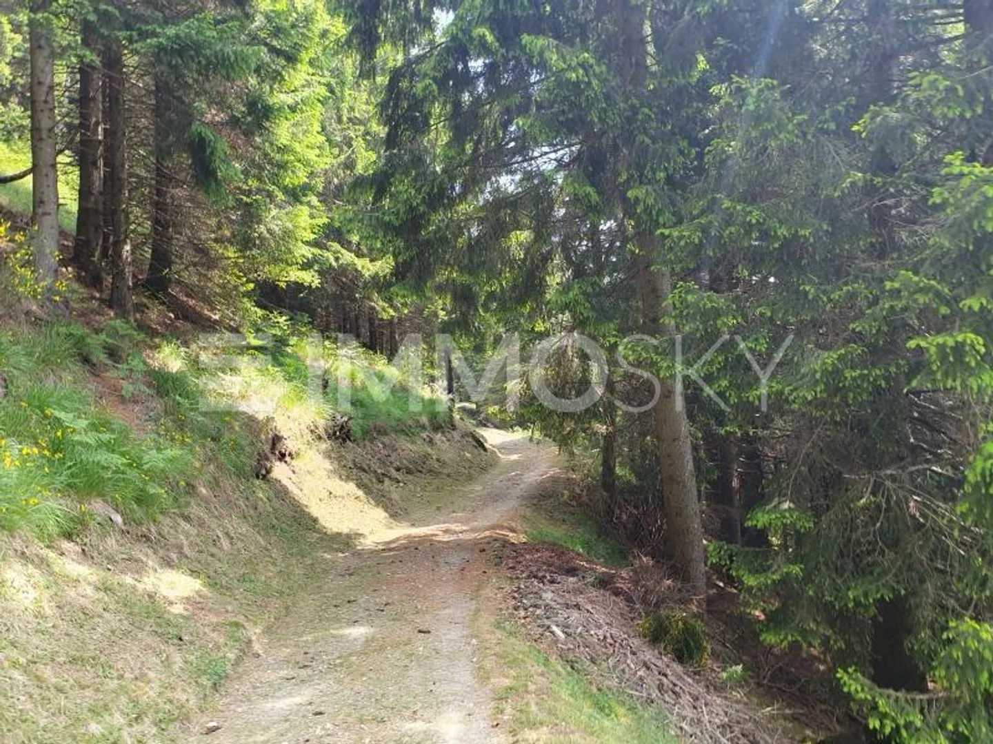 Paradiso alpino con vista mozzafiato - Foto 3 di 5