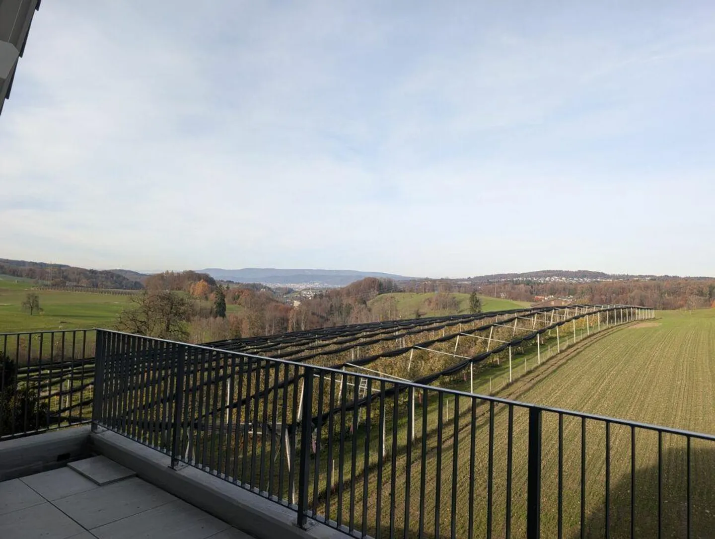 Vue dégagée sur la zone agricole et le Uetliberg - Photo 6 sur 9