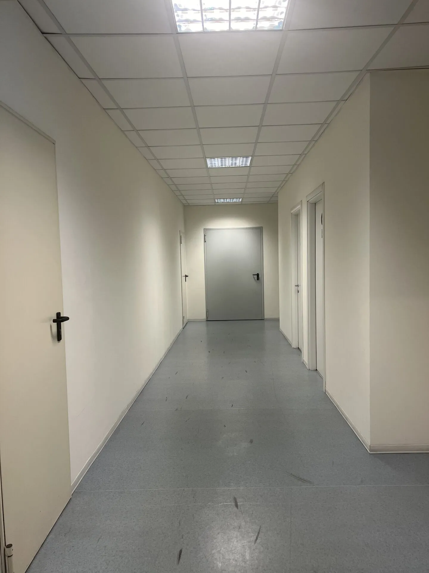 Administrative and commercial spaces with yield Mendrisio - Photo 5 of 6