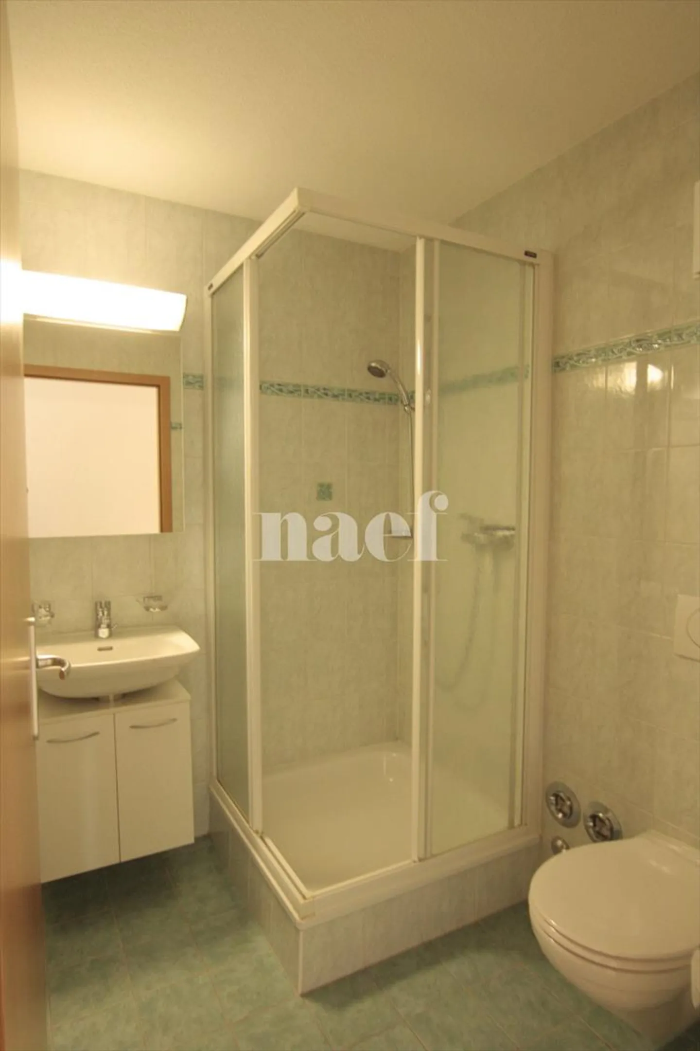Appartamento 5.5 stanze - Foto 10 di 10