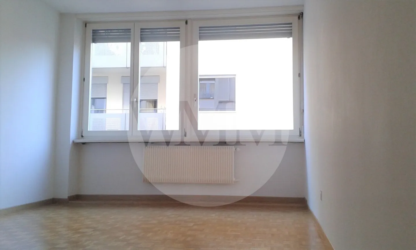Two-room apartment in Cassarate in a well-connected location - Photo 3 of 6
