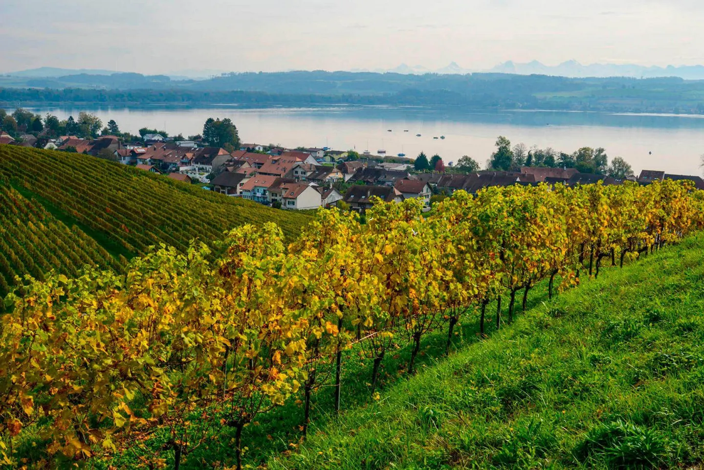 Villa neuve avec vue sur le lac - Photo 19 sur 19