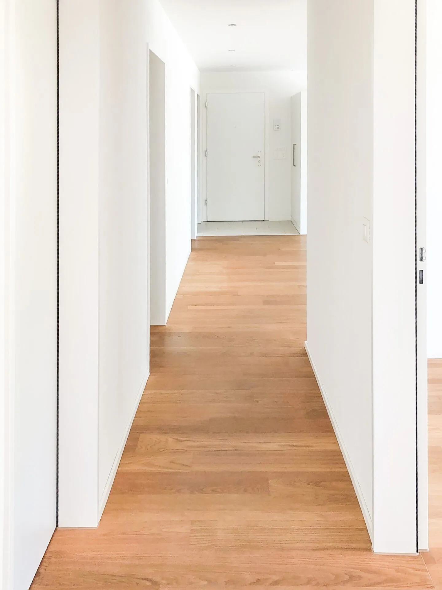 Vivere al sole con ampia terrazza e vista panoramica sulla natura - Foto 7 di 10