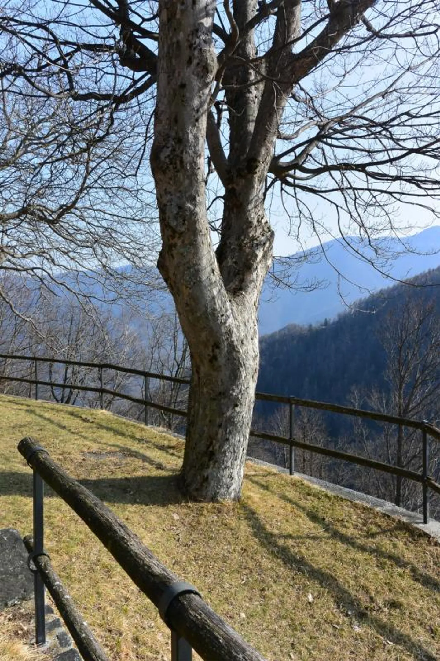 2 Rustico soleggiato - Foto 6 di 23