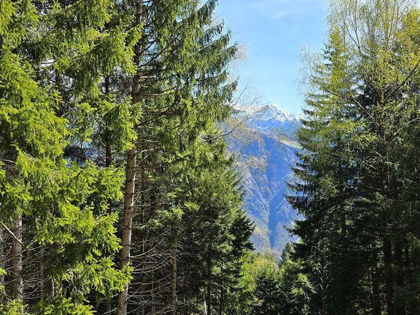 Charmantes Rustico in der Natur - Foto 20 von 33