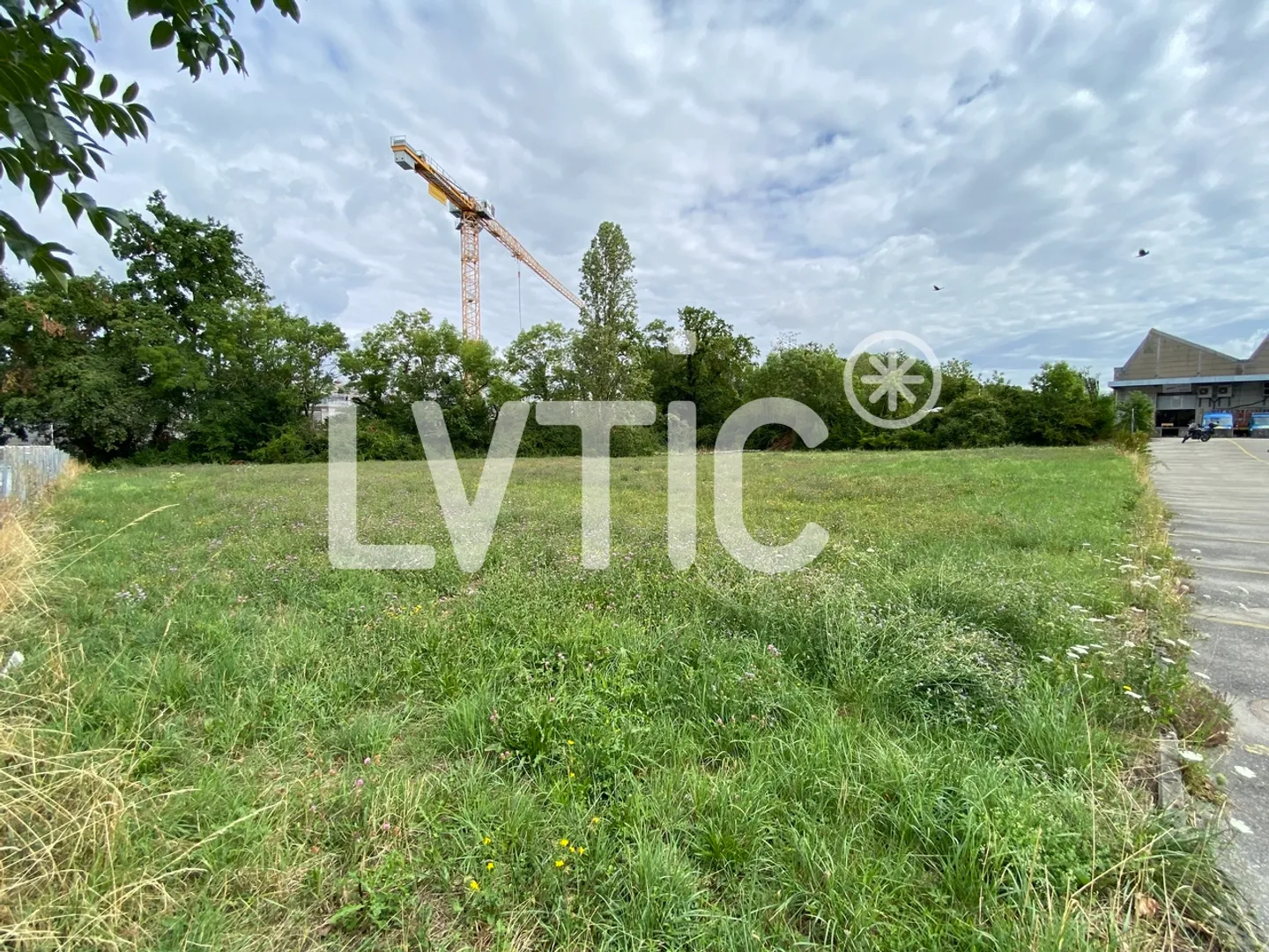 Terrain industriel - Photo 2 of 6