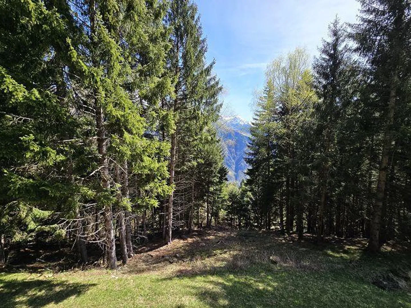 Charmantes Rustico in der Natur - Foto 23 von 33