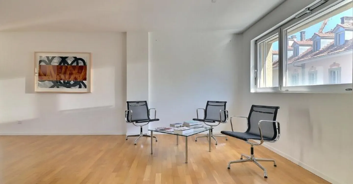 Modern Loft in Fribourg - Photo 5 of 12