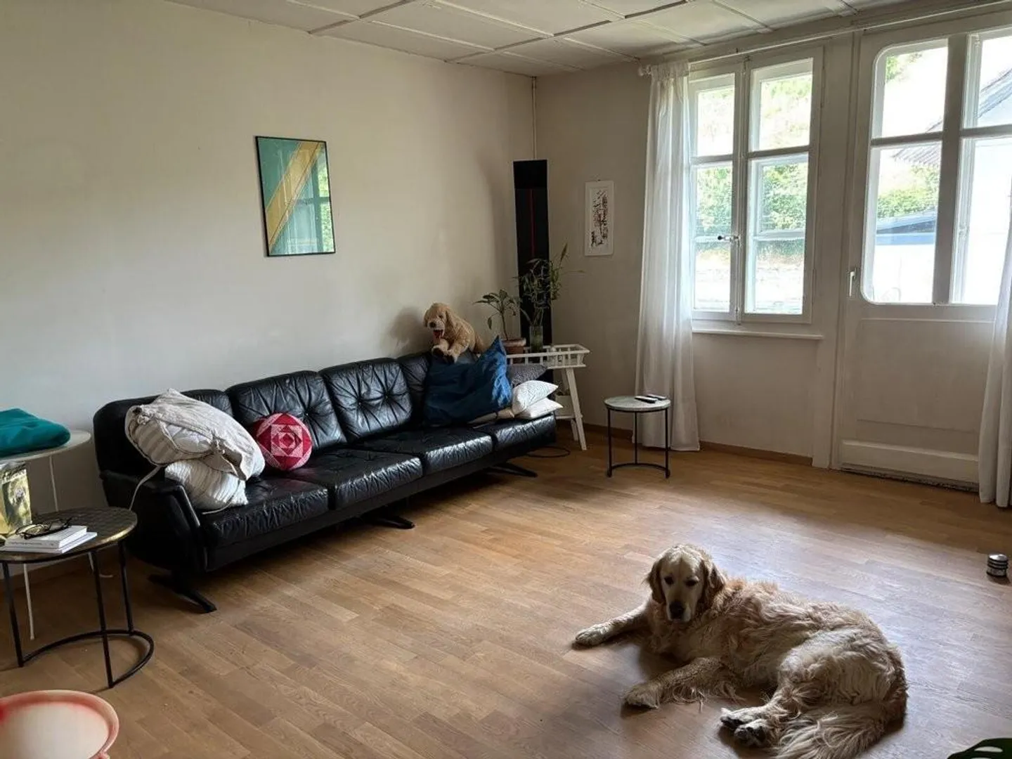 Living on 2 floors in Reichenbach near Zollikofen - Photo 9 of 12