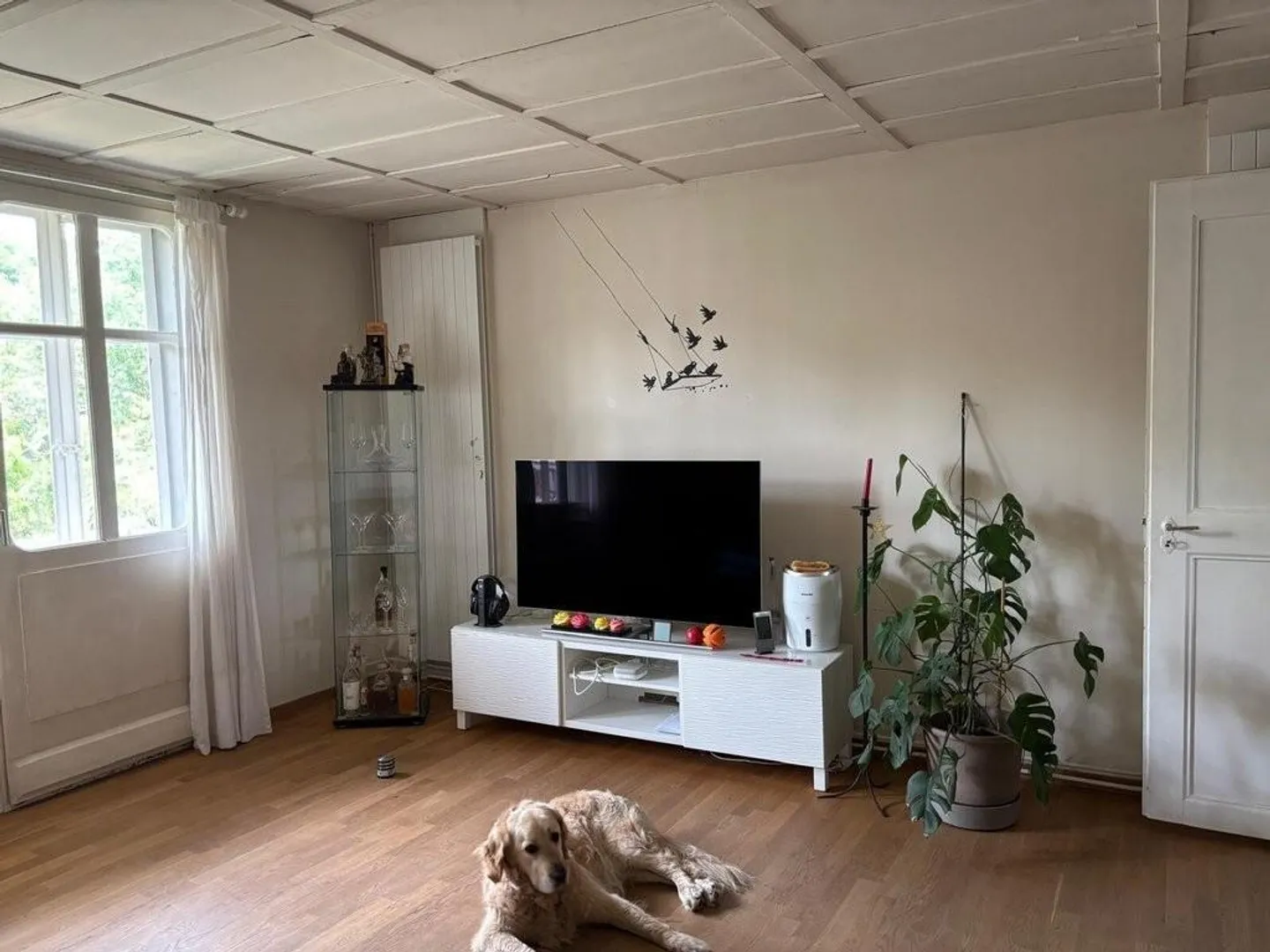 Living on 2 floors in Reichenbach near Zollikofen - Photo 6 of 12