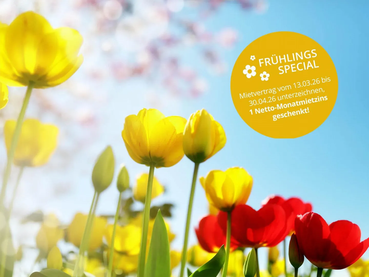 Offerta Speciale Primavera - 1 Mese di Affitto Netto Gratuito! - Foto 2 di 12