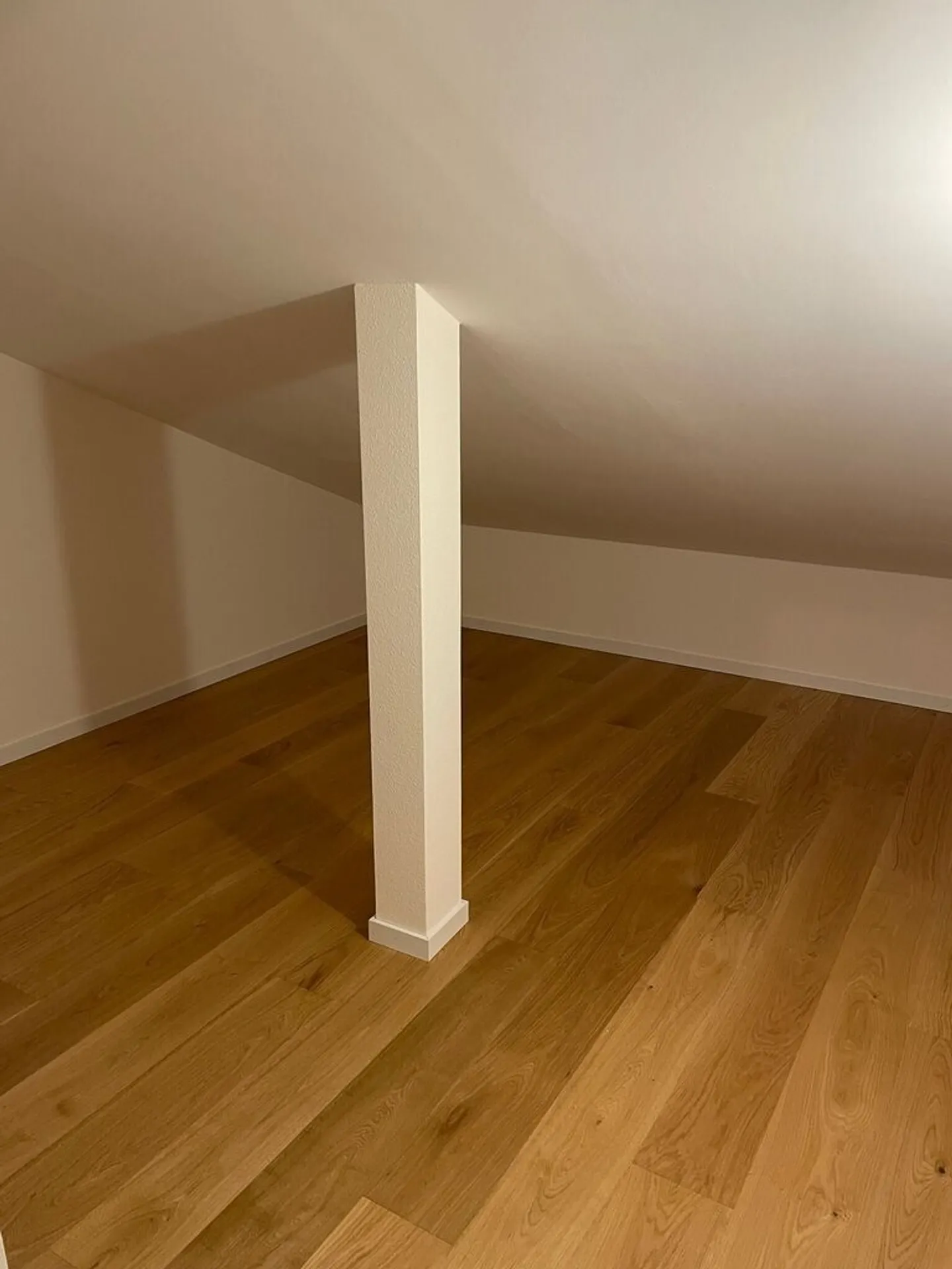 Magnifico loft con vista sul lago a St-Sulpice - Foto 7 di 8