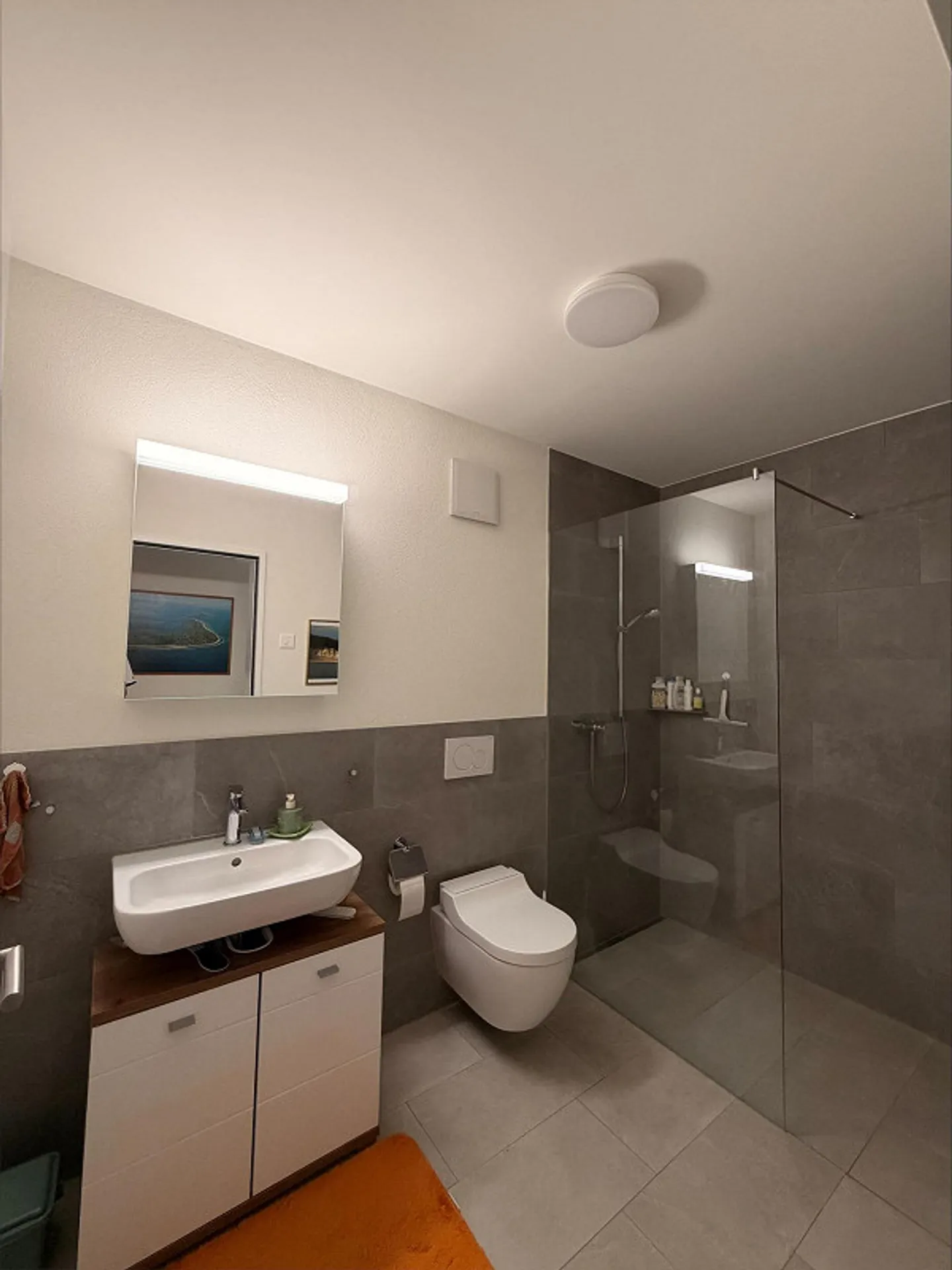 3.5 Room Apartment in Stein am Rhein - Photo 6 of 8