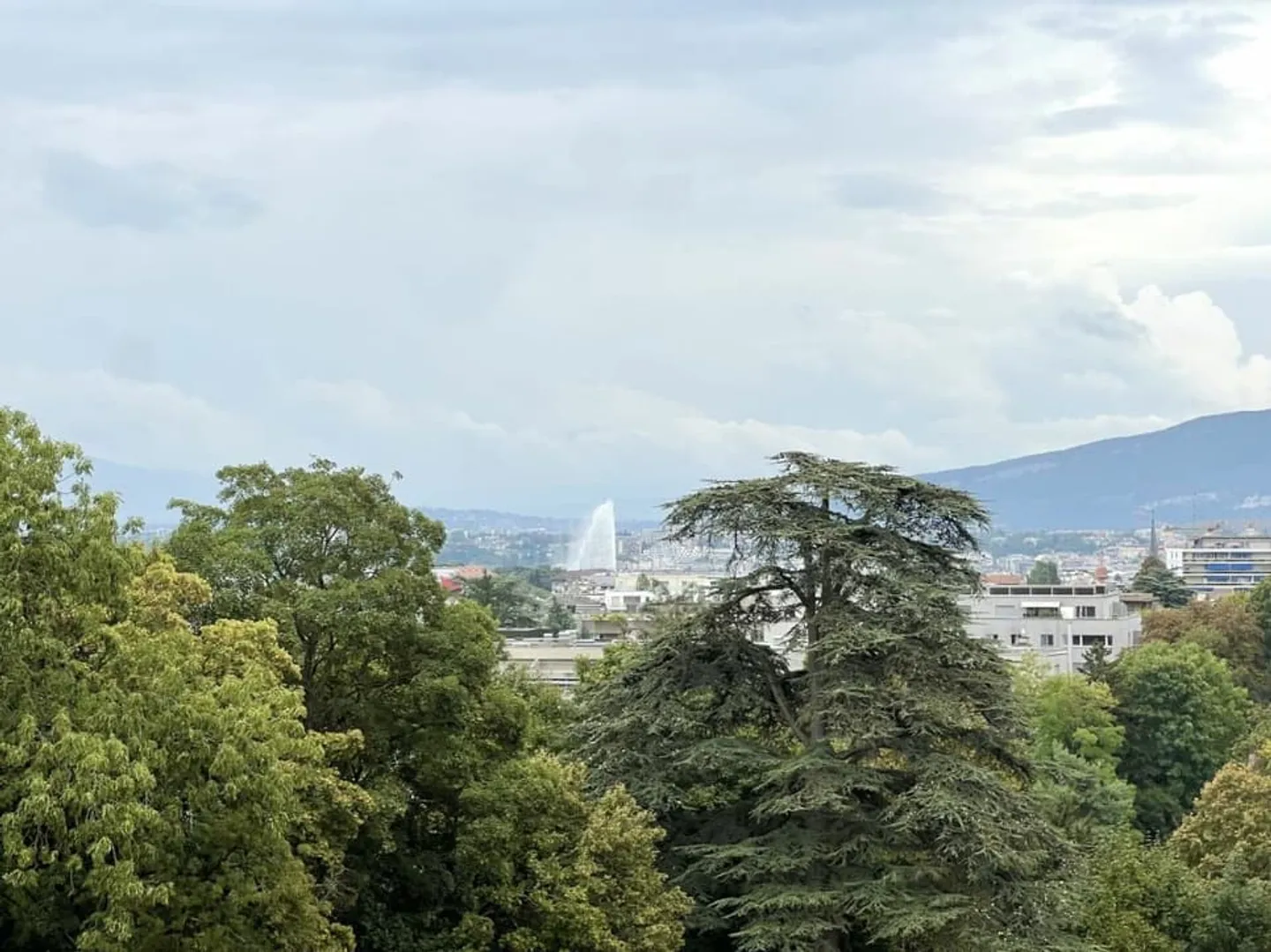 Ampio appartamento di lusso con vista sul Jet d'eau - Quartiere Bouchet - Foto 7 di 13
