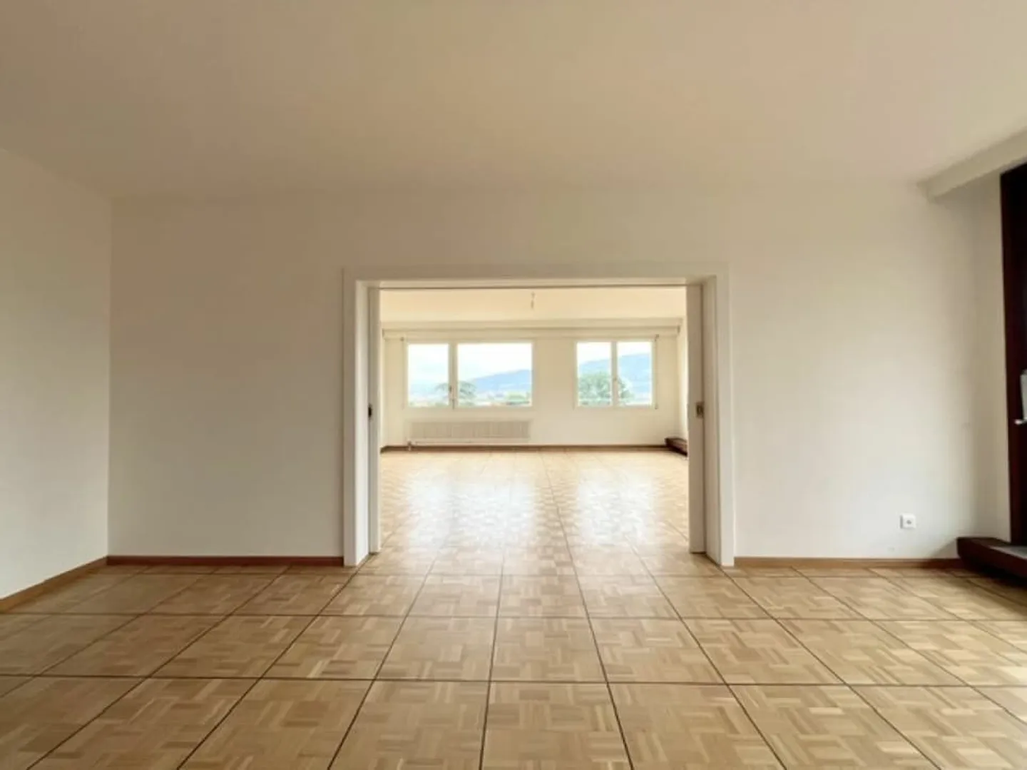 Ampio appartamento di lusso con vista sul Jet d'eau - Quartiere Bouchet - Foto 9 di 13