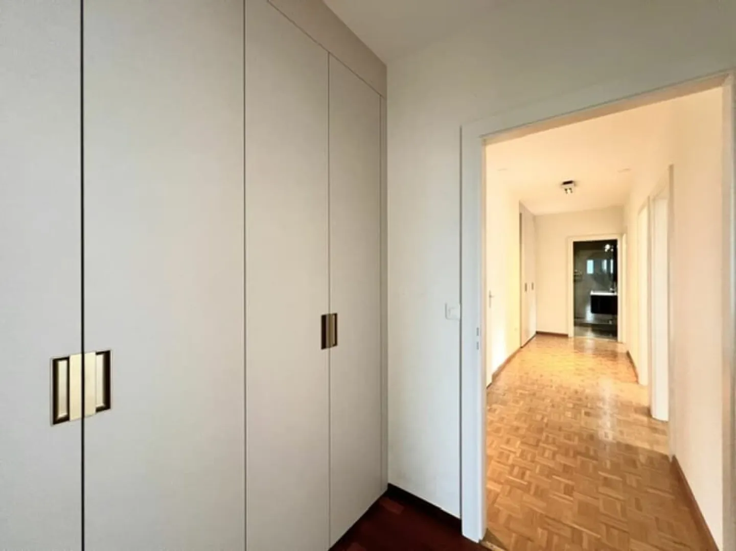 Ampio appartamento di lusso con vista sul Jet d'eau - Quartiere Bouchet - Foto 10 di 13