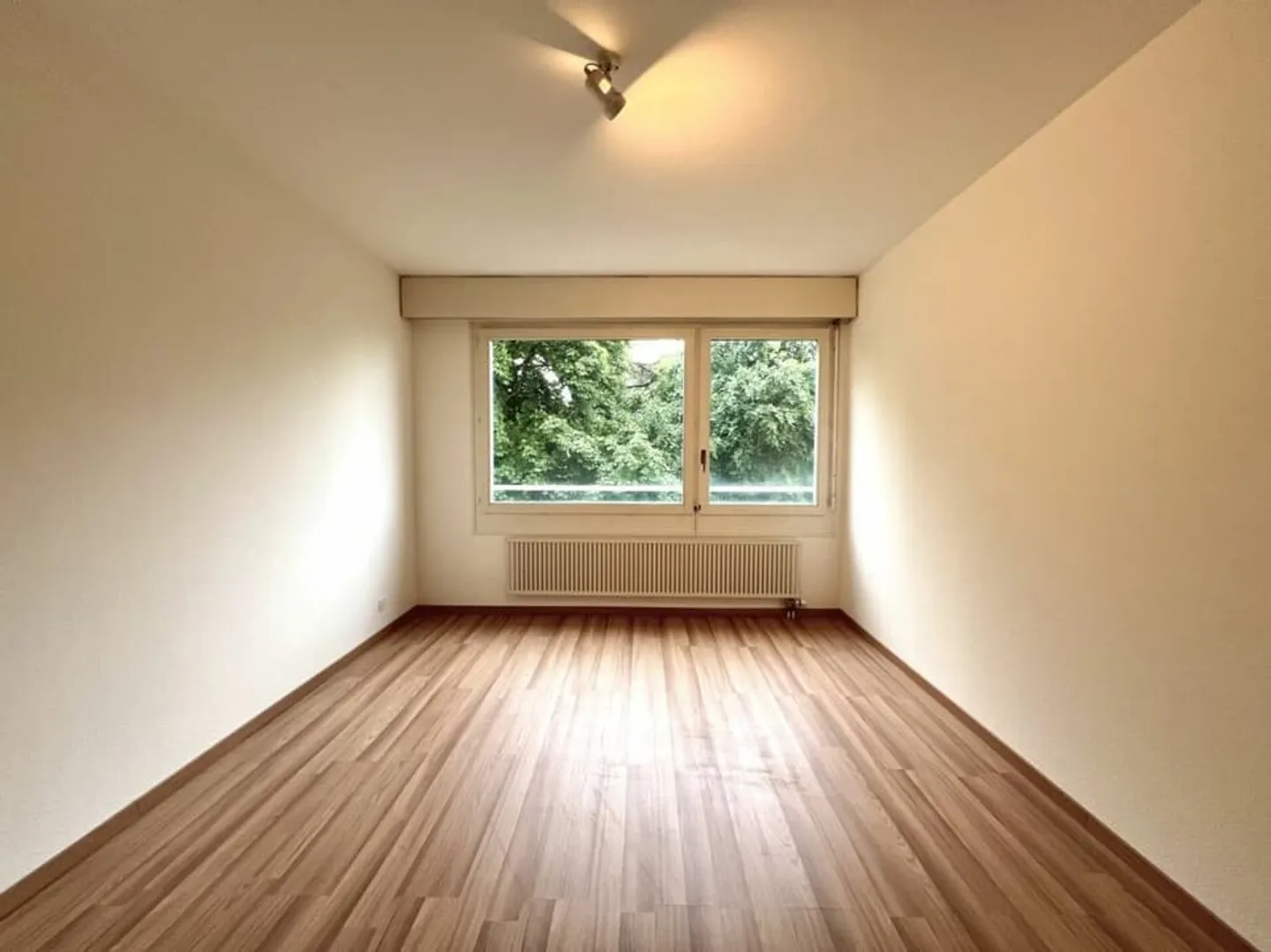 Ampio appartamento di lusso con vista sul Jet d'eau - Quartiere Bouchet - Foto 13 di 13