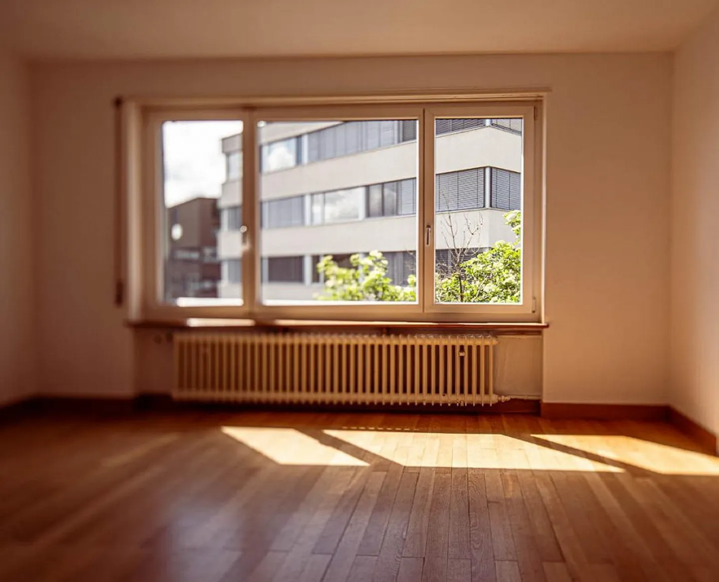 Stanza di stoccaggio in soffitta a Sciaffusa - Foto 2 di 2