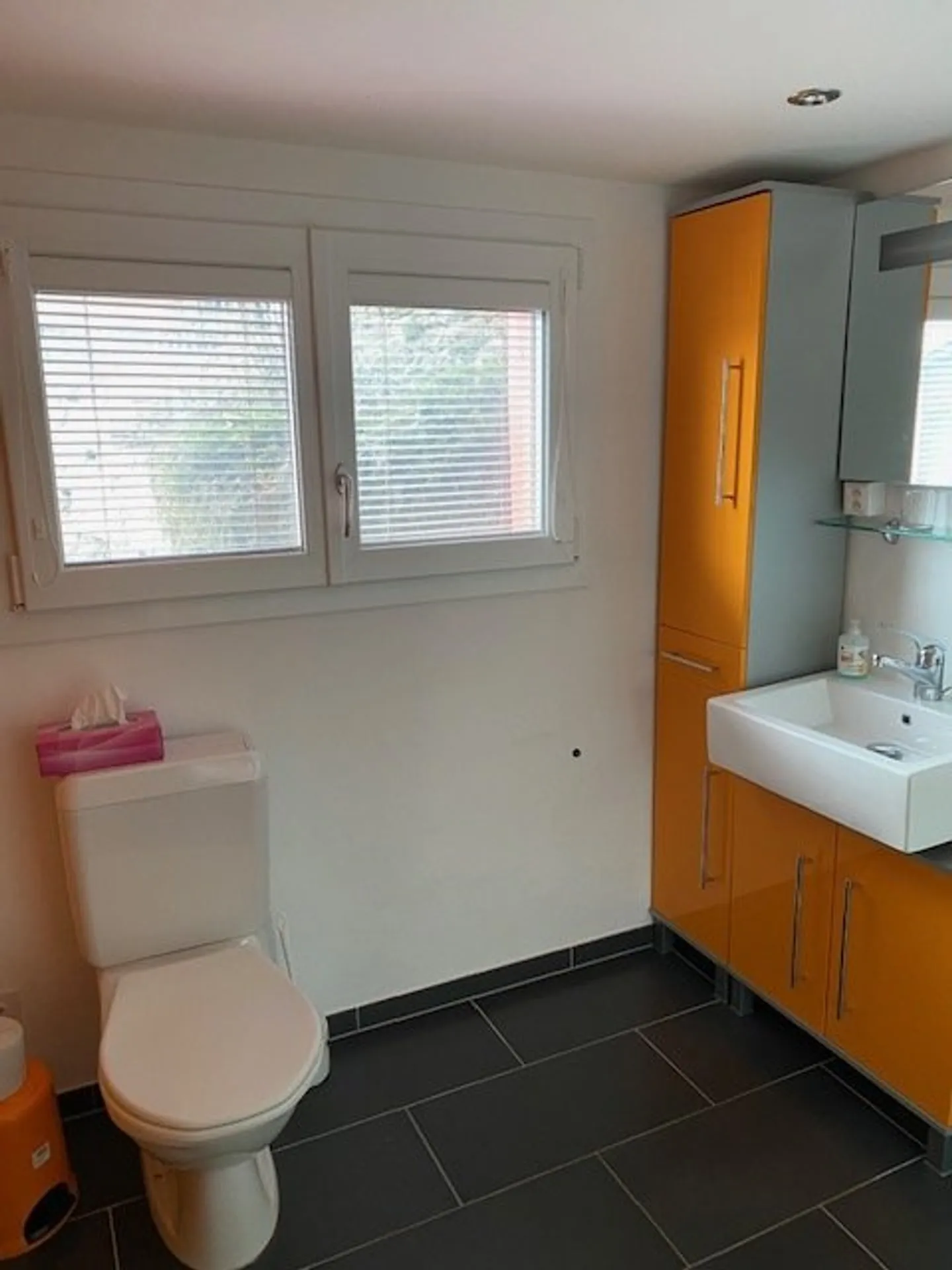 Montana Crans - Casa vacanze con 4 unità - anche come immobile da investimento - Foto 17 di 36