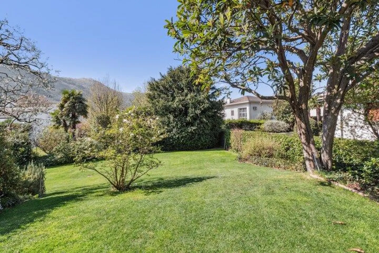 PALMS, PEACE AND QUALITY OF LIFE - Photo 8 of 8