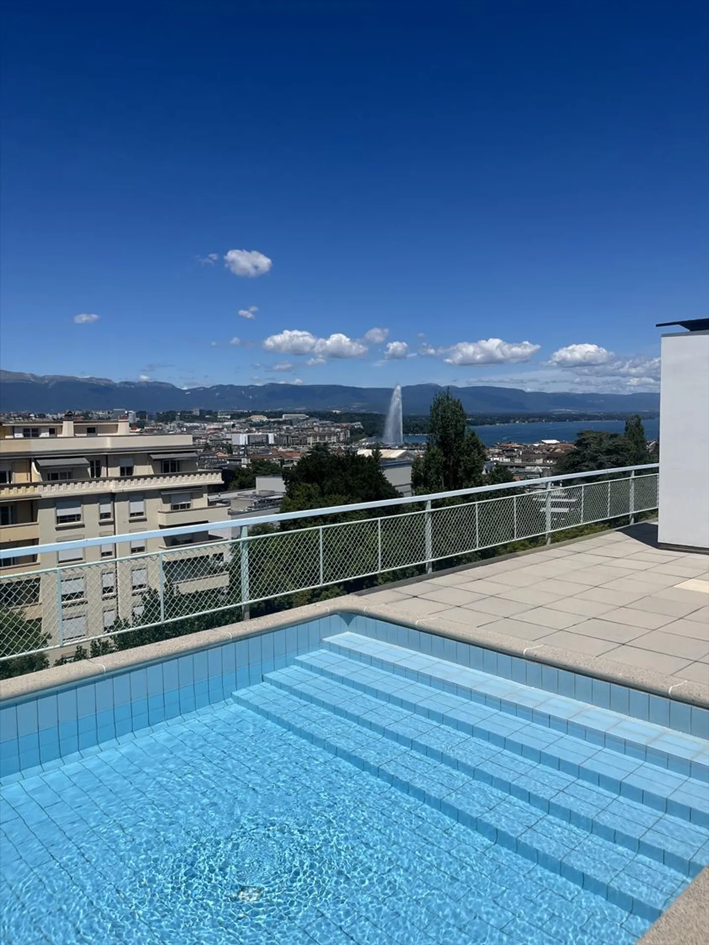 Magnifico appartamento ristrutturato di 5 locali a Malagnou - Foto 9 di 9