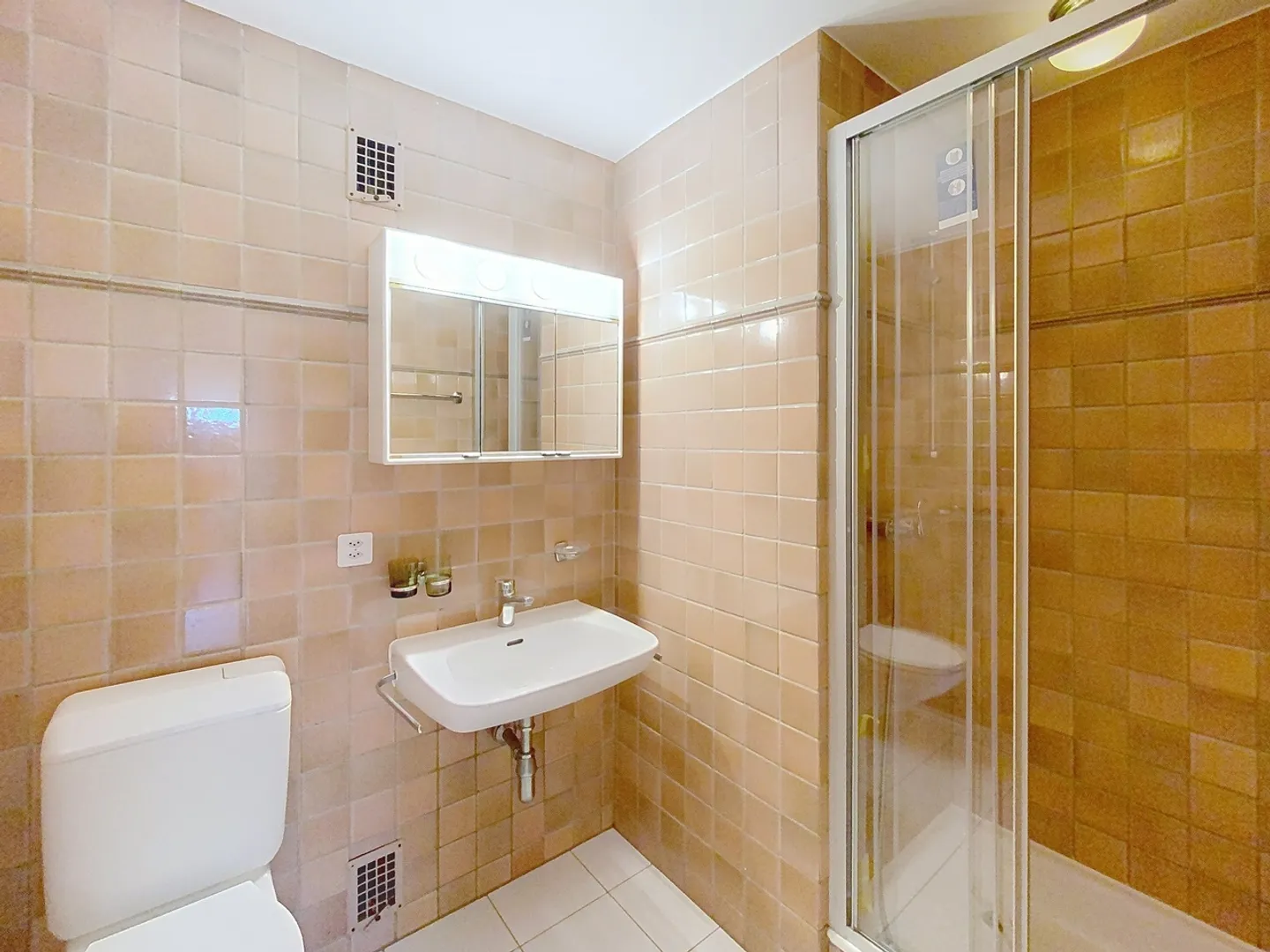 Spacious 5.5-room apartment with lake view - Photo 8 of 10