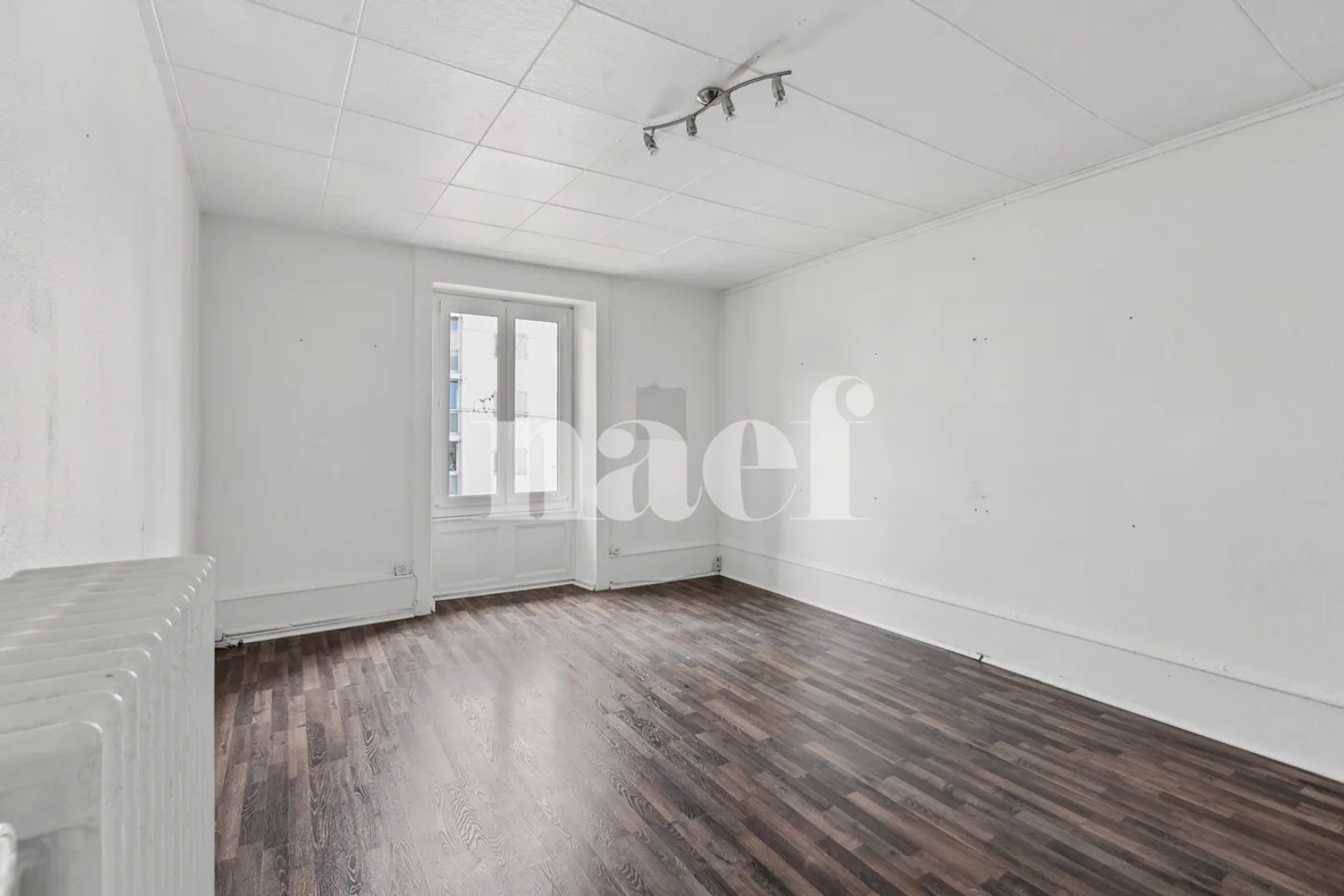 Ideale per gli amanti della natura in città! - Foto 5 di 10