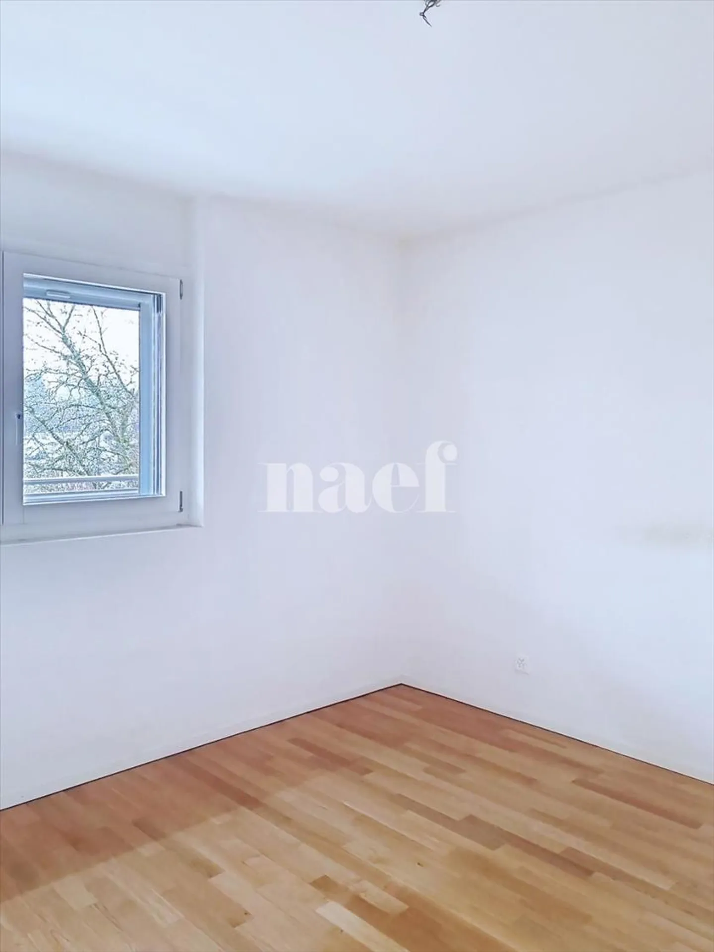 2.5 Room Apartment - Photo 5 of 9