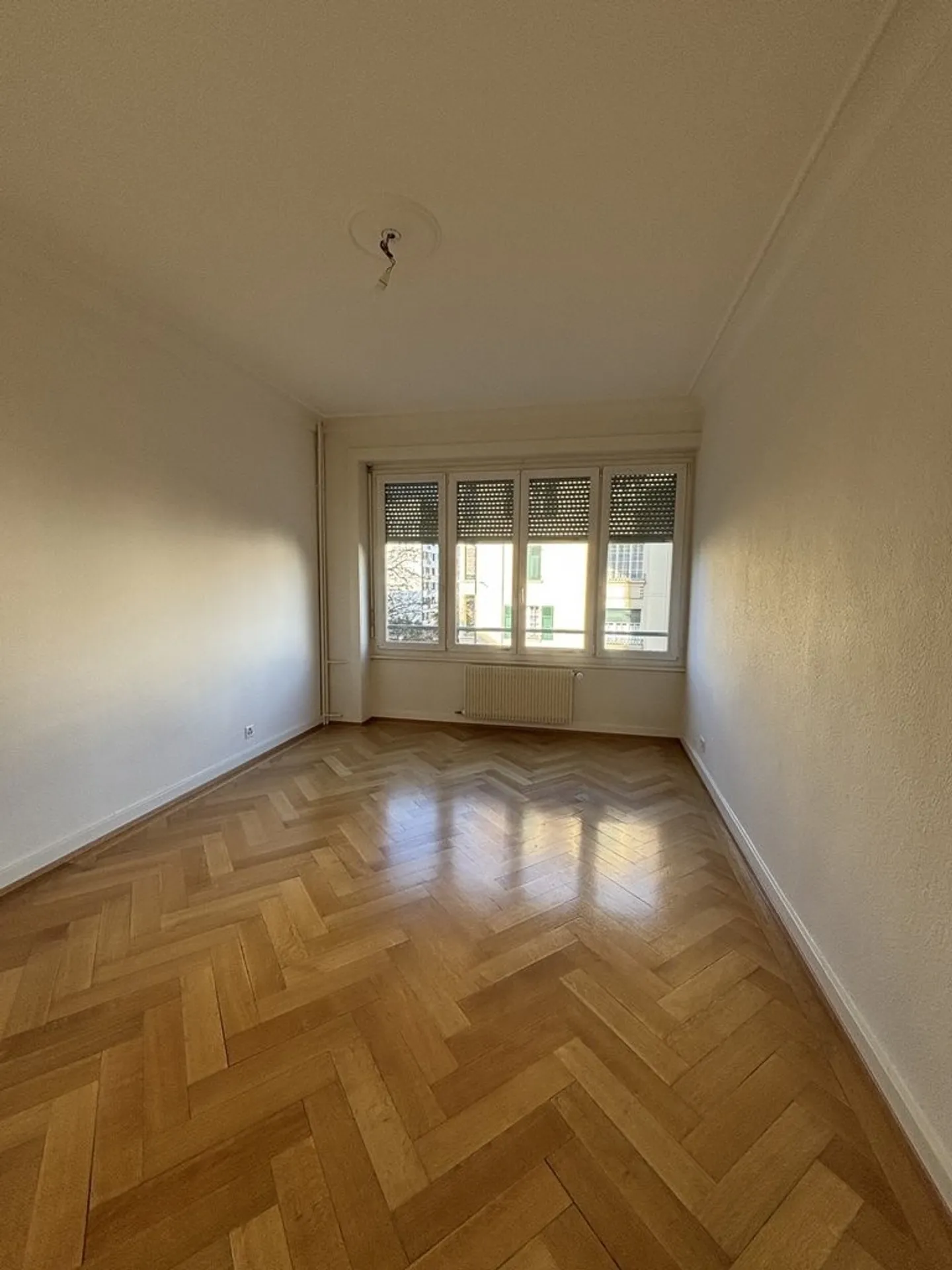 Magnifica sistemazione nel prestigioso quartiere di Champel - Foto 5 di 7