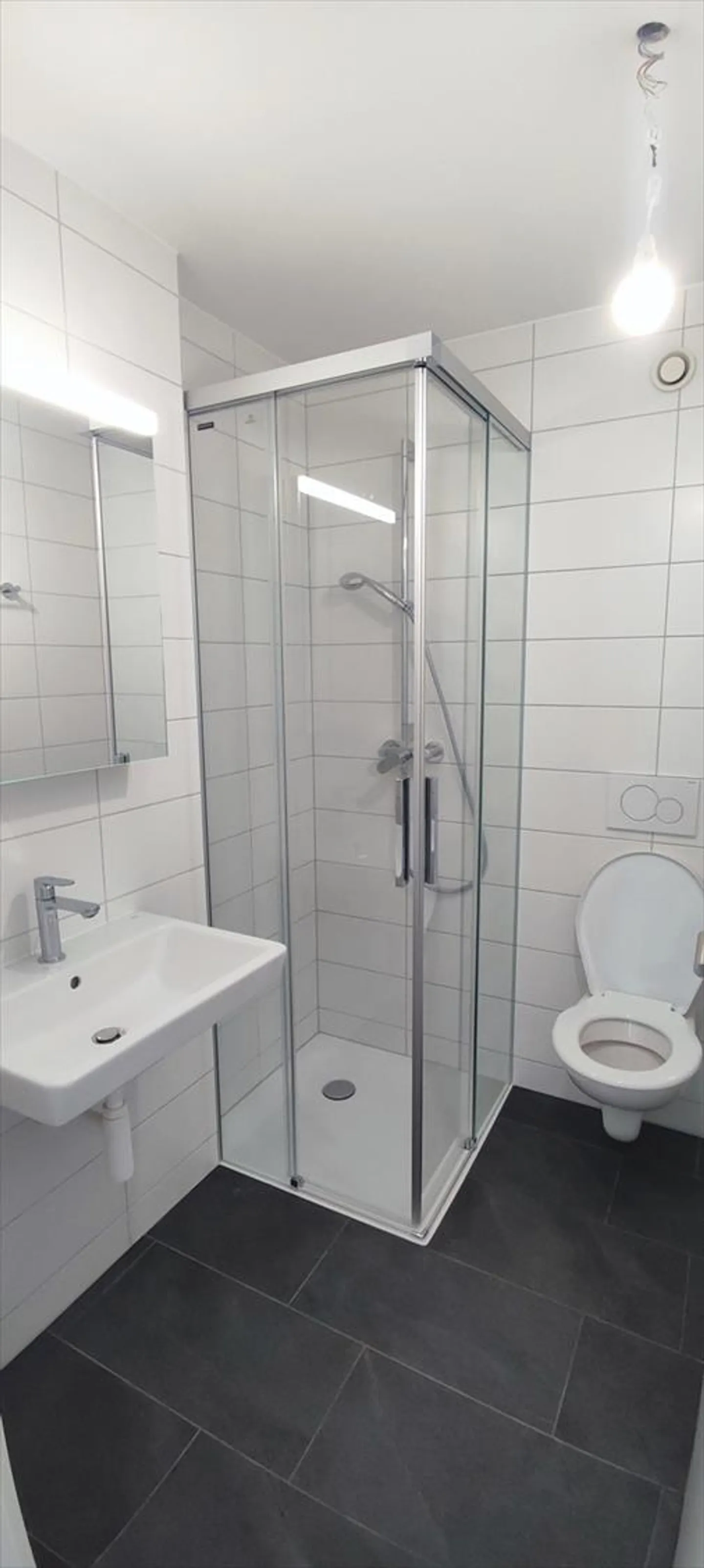 Magnificent 4.5-room apartment with a view of the lake and mountains - Photo 9 of 10