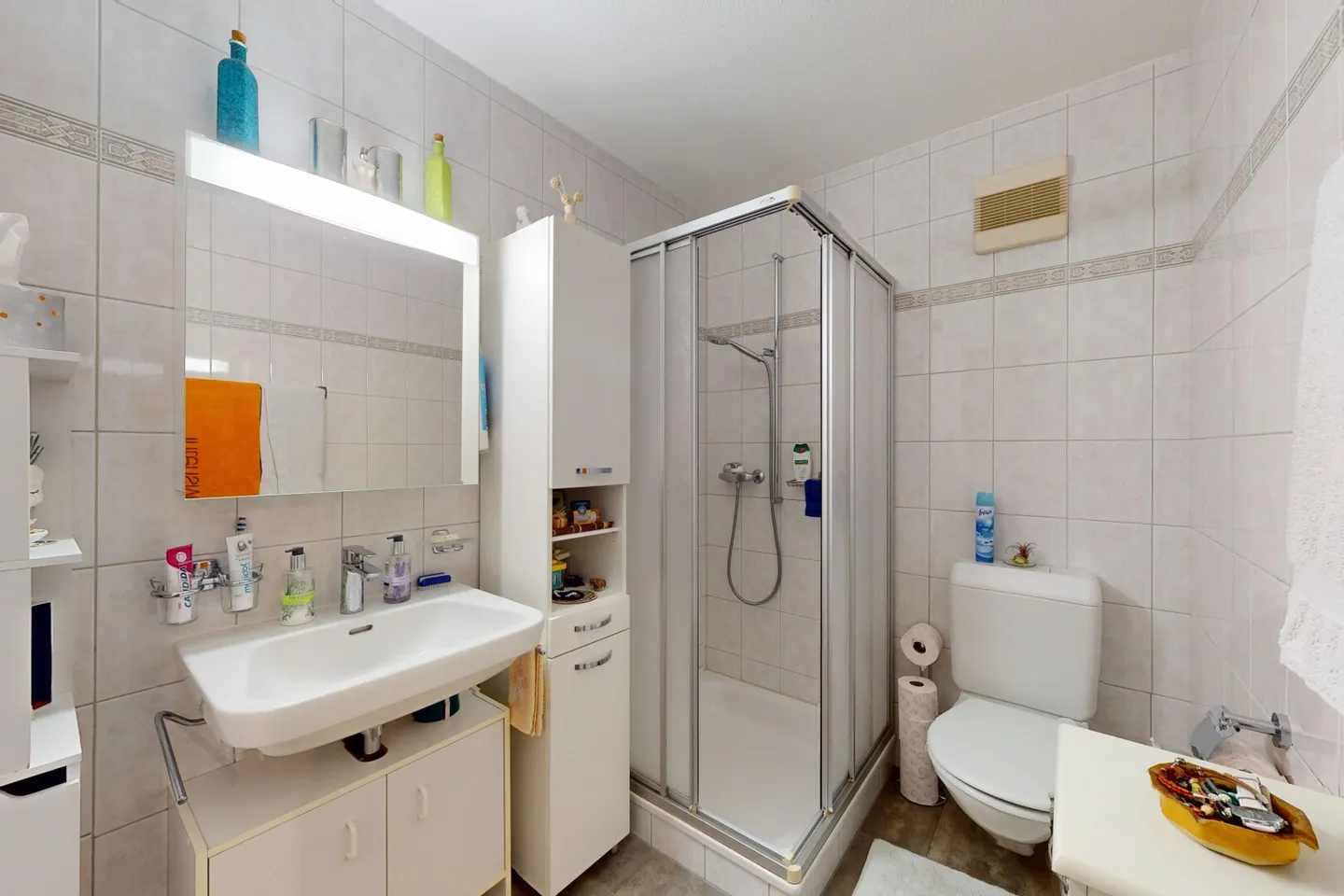 Charming Apartment in Villariaz - Photo 5 of 5