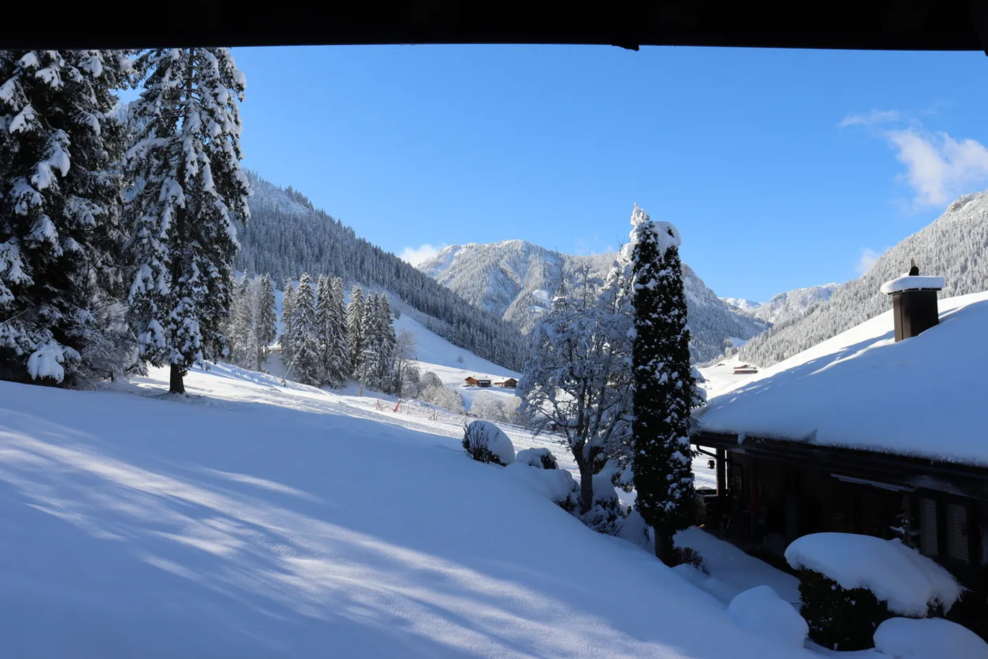 Appartement luxueux de 2,5 pièces au Wiriehorn - Photo 15 sur 17