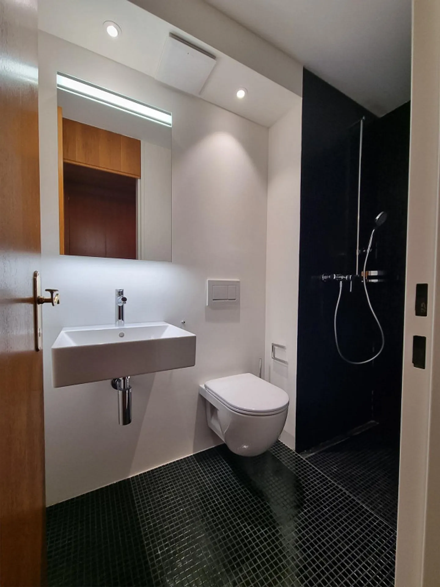 Appartamento luminoso con vista lago e piscina nell'edificio - Foto 5 di 5