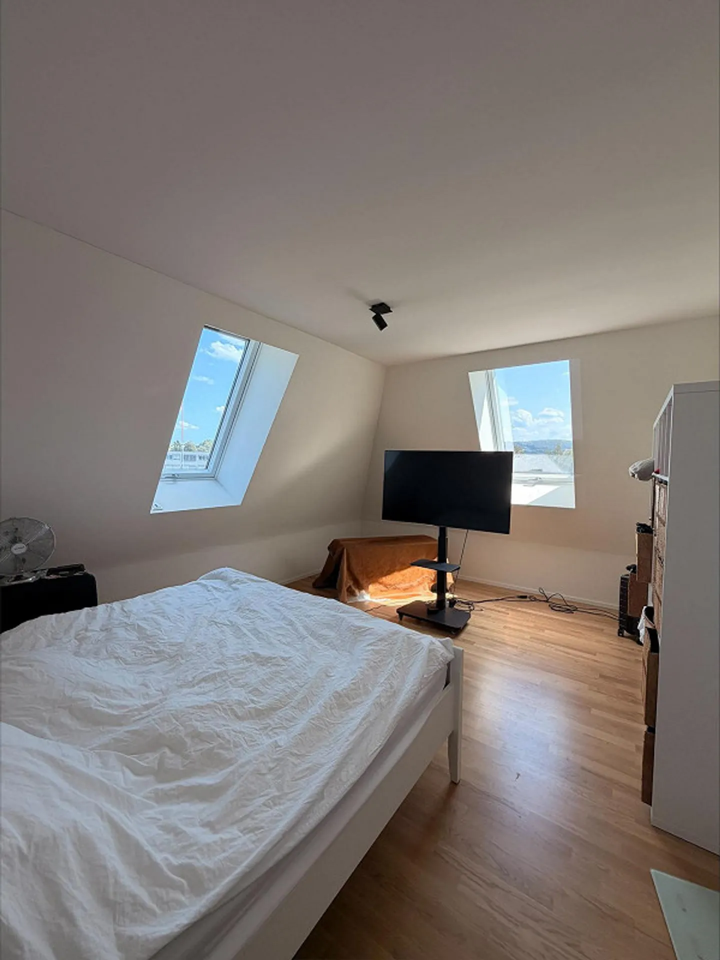 3.5 Room Apartment in Stein am Rhein - Photo 4 of 8
