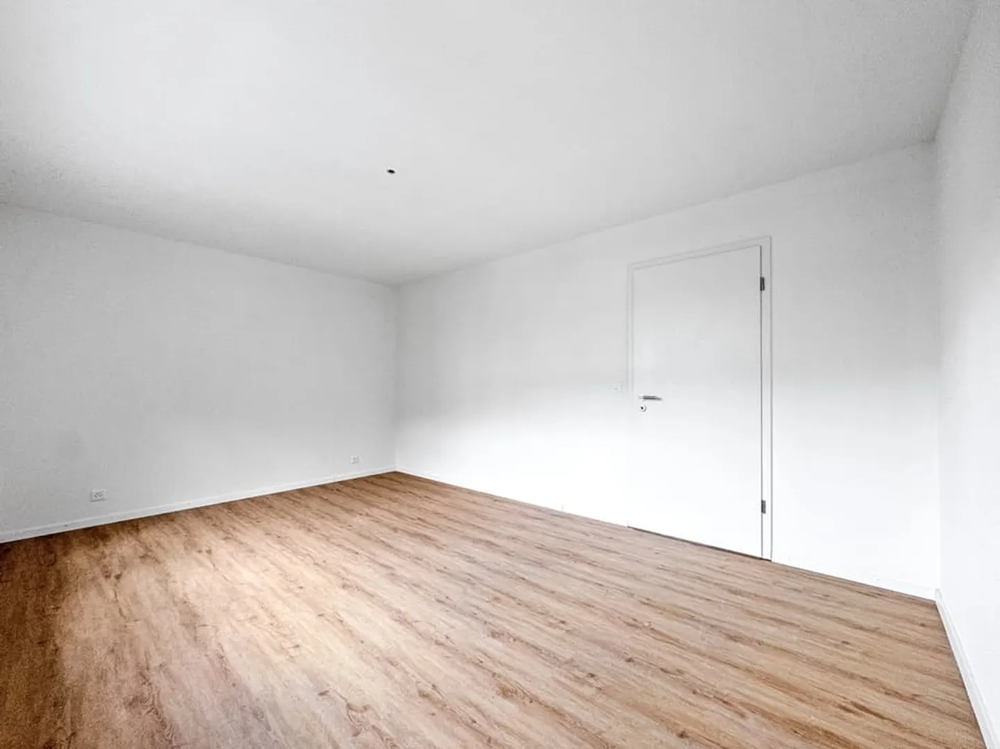 Superb opportunity! Fully renovated 4.5-room apartment in 2025 - Photo 7 of 12