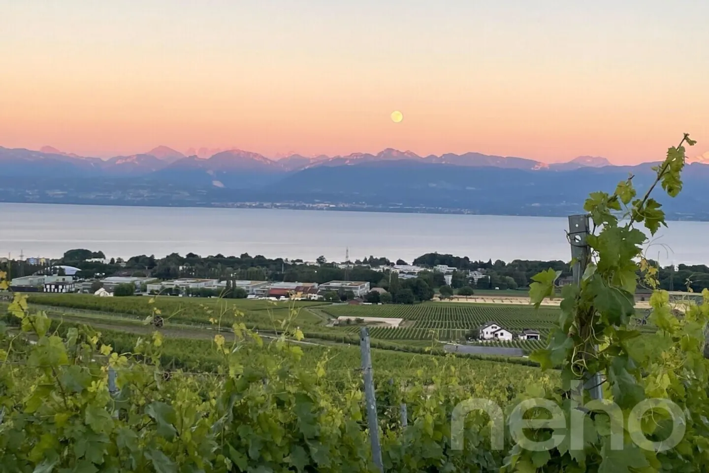 Incantevole casa a schiera con giardino tra vigne e lago - Foto 11 di 12