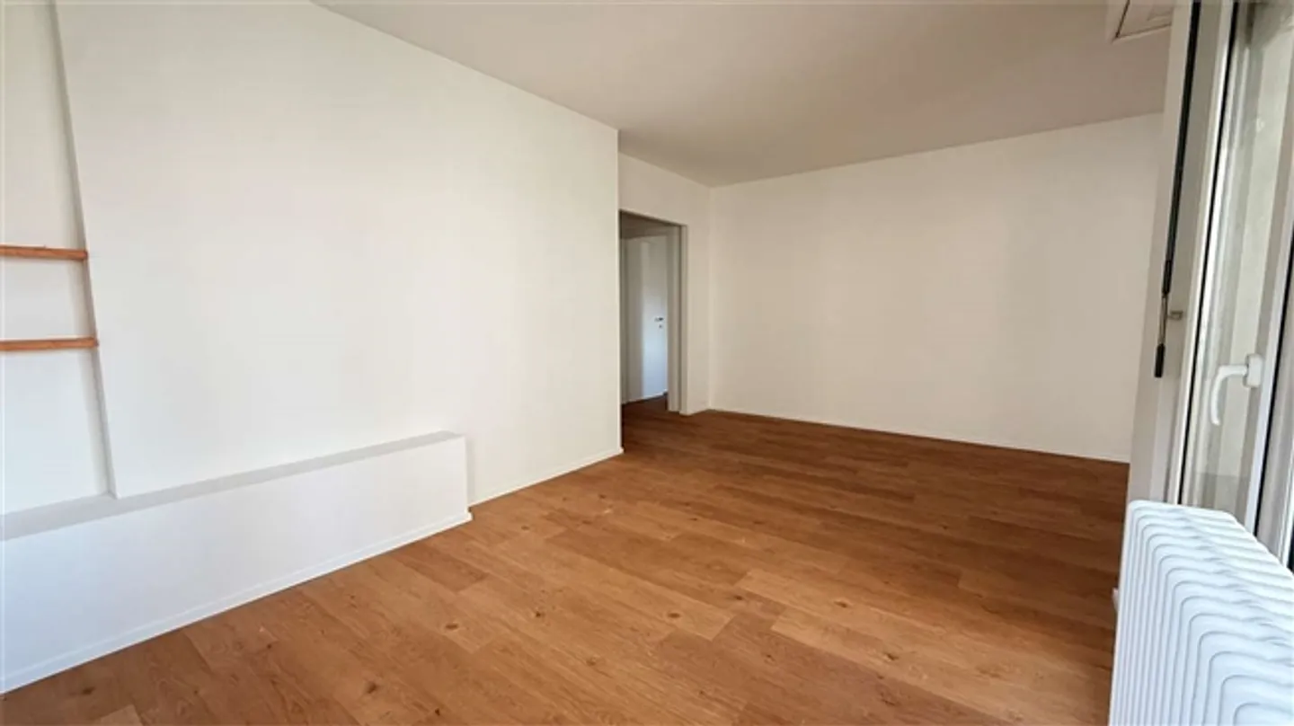 CRYPTO FRIENDLY - 3,5 completamente ristrutturato con terrazza a Paradiso - Foto 4 di 20