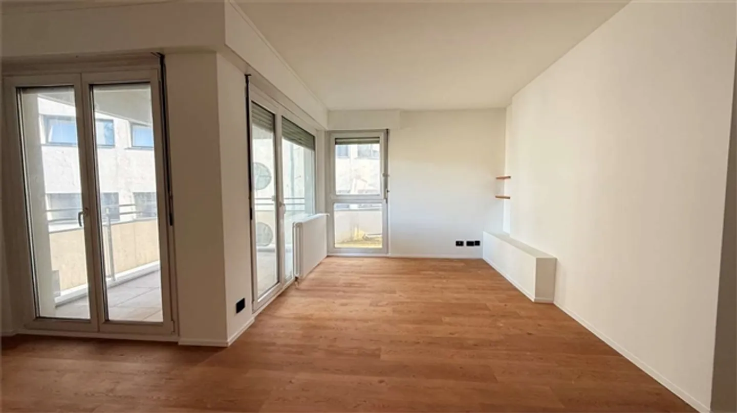 CRYPTO FRIENDLY - 3,5 completamente ristrutturato con terrazza a Paradiso - Foto 5 di 20